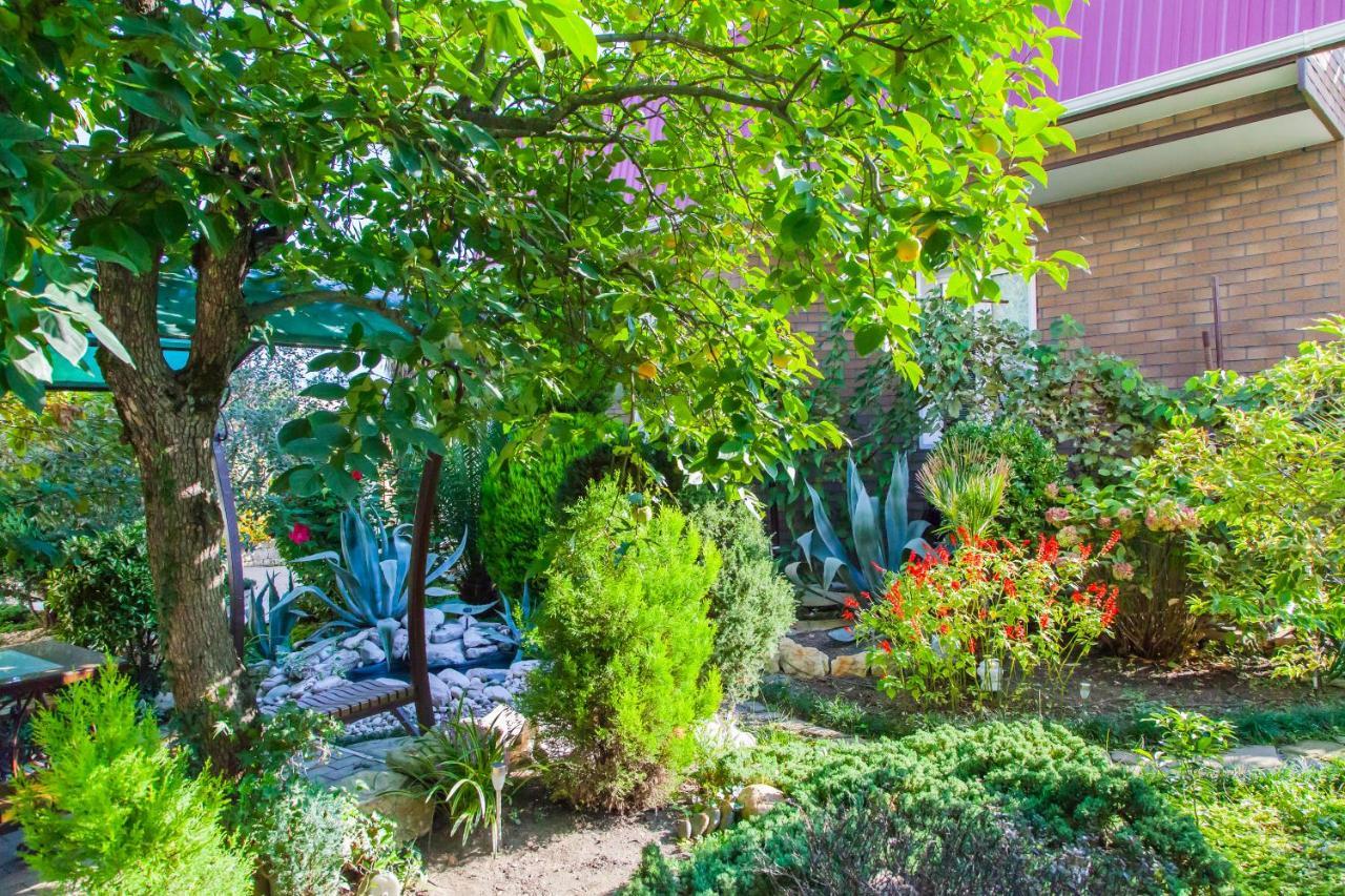Primorie Guest House Tsandrypsj Buitenkant foto